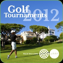 VDL golf small square